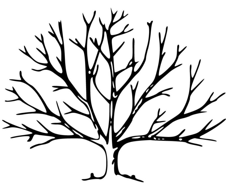 black and white tree silhouette